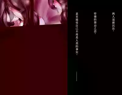 第35頁圖