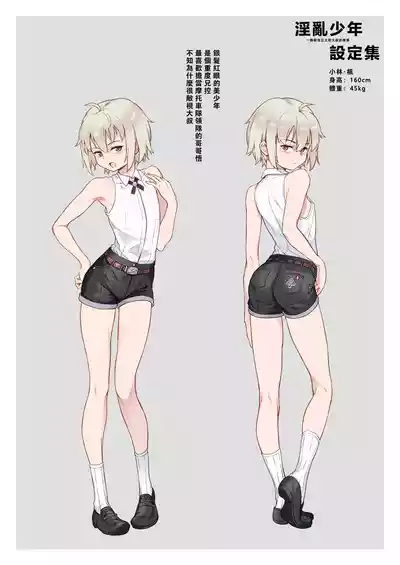 第219頁圖