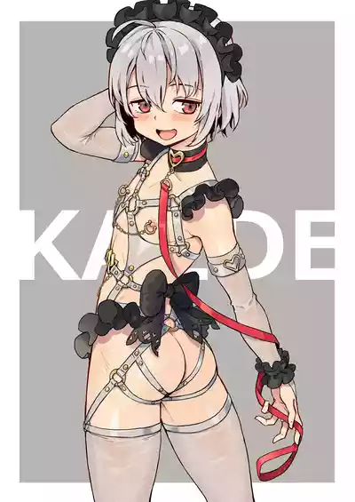 第255頁圖