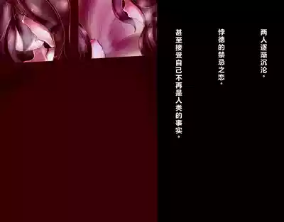 第35頁圖