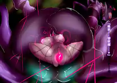 第43頁圖