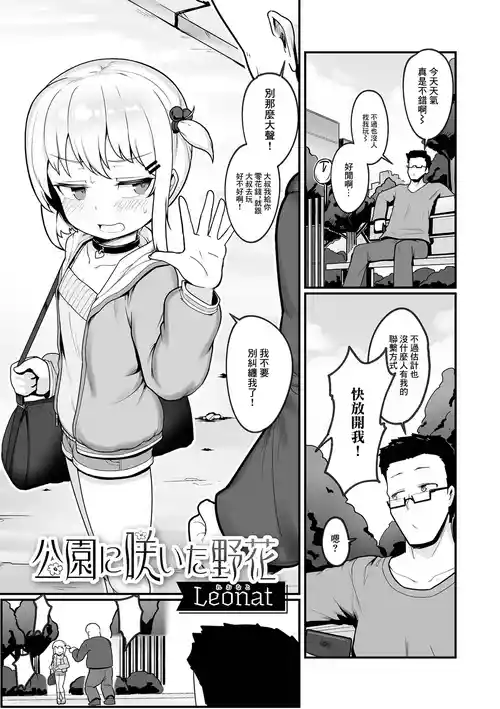 公园に咲いた野花图