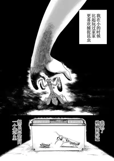 第3頁 封面 - HaSM.cc
