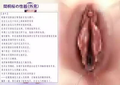 第11页 封面 - HaSM.cc