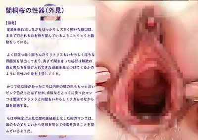 第15页 封面 - HaSM.cc