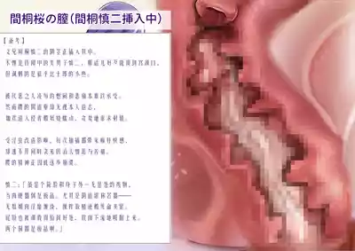 第27页 封面 - HaSM.cc
