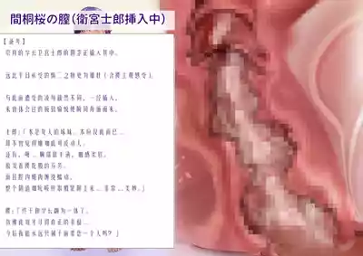第31页 封面 - HaSM.cc