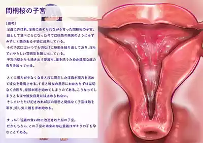 第35页 封面 - HaSM.cc