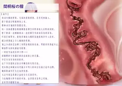 第31页 封面 - HaSM.cc