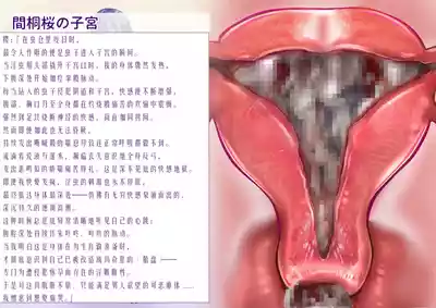 第47页 封面 - HaSM.cc