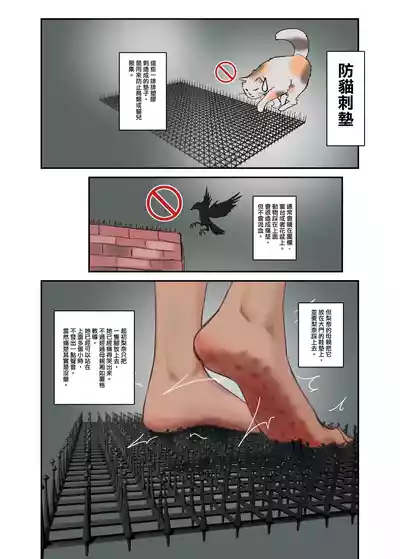第31頁 封面 - HaSM.cc