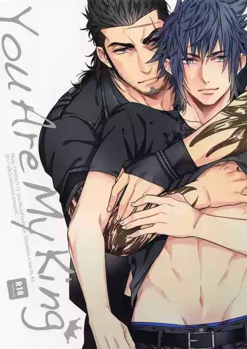 You Are My King 封面 - HaSM.cc