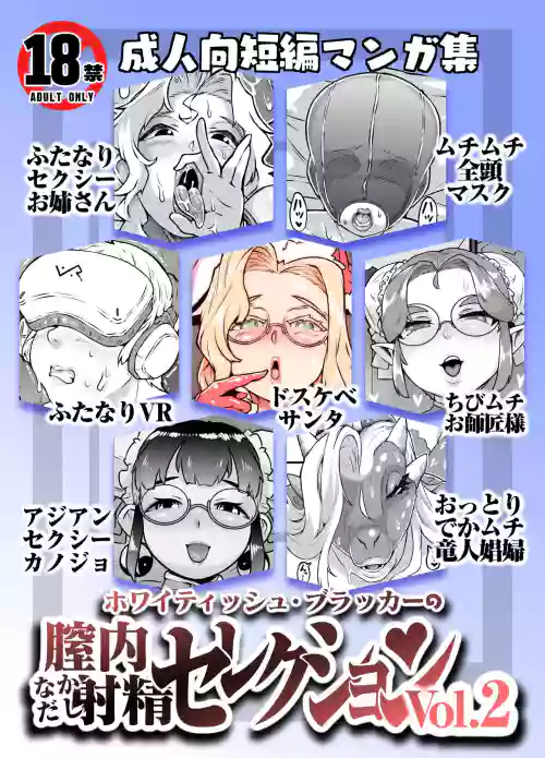 膣內射精セレクション Vol.2 封面 - HaSM.cc