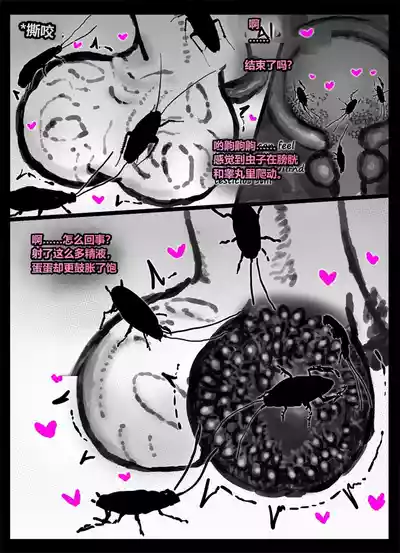 第15頁 封面 - HaSM.cc