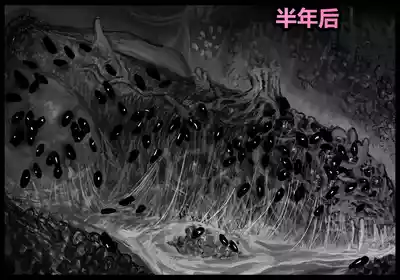 第63頁 封面 - HaSM.cc