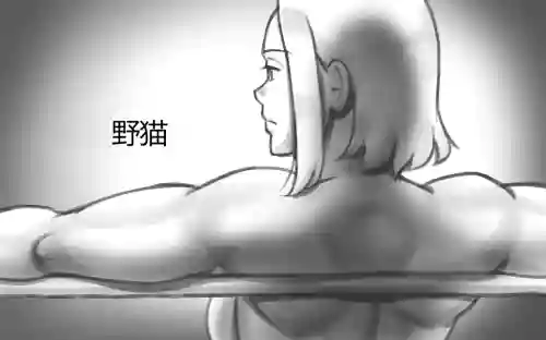WILDCATS ~ Futanari Chika Battle 封面 - HaSM.cc