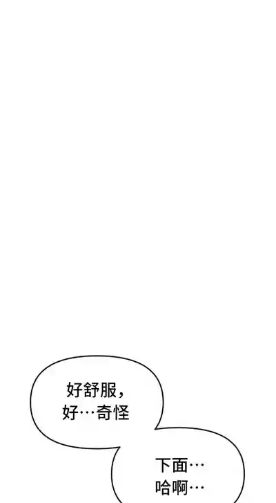 第431頁圖