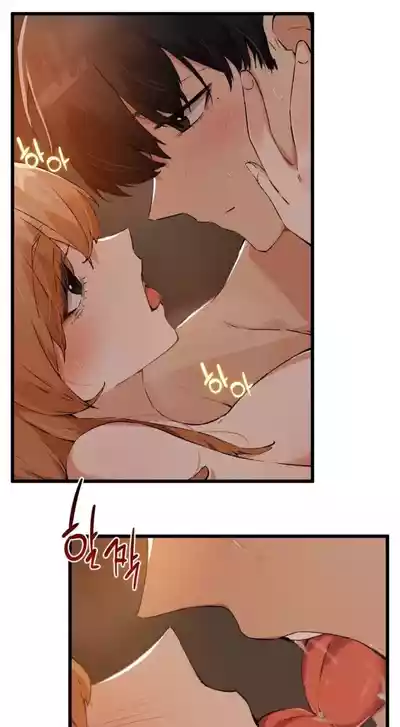 第451頁圖