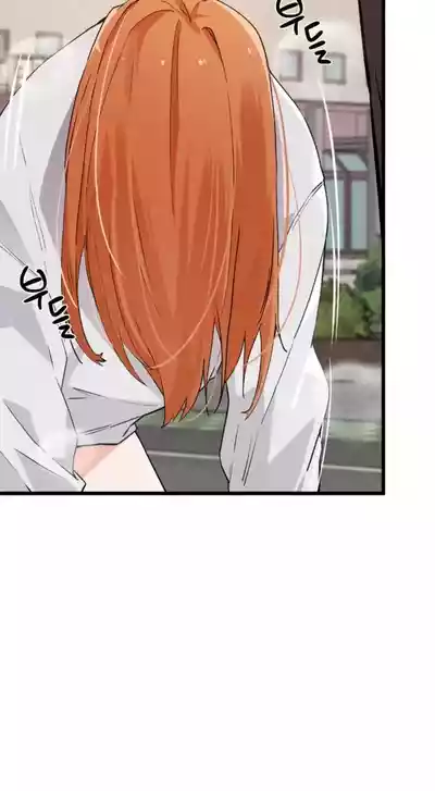 第507頁圖