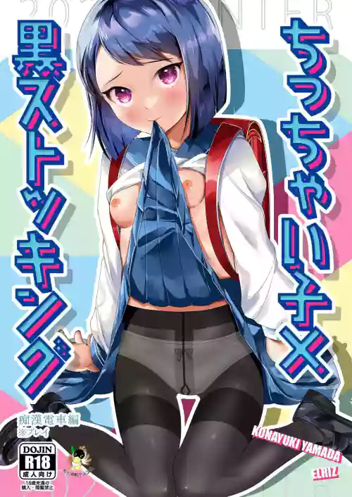 Short Heroine x Black Stockings ~touched on the train~ 封面 - HaSM.cc