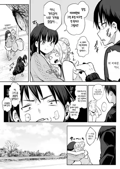第231頁圖