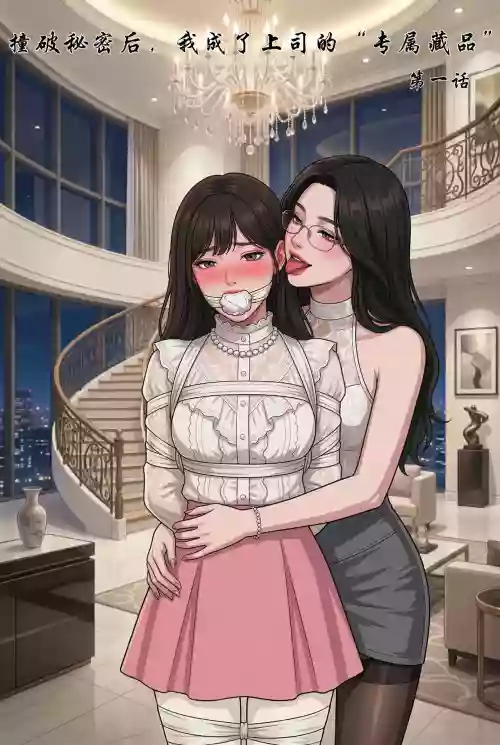 撞破秘密后，我成了上司的“专属藏品 封面 - HaSM.cc
