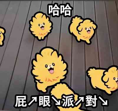 第19页 封面 - HaSM.cc