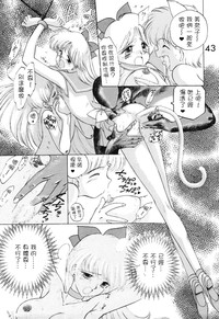 第43頁圖