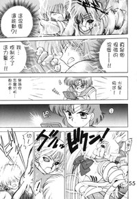 第55頁圖