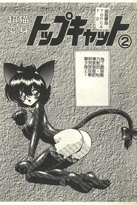 第63頁圖