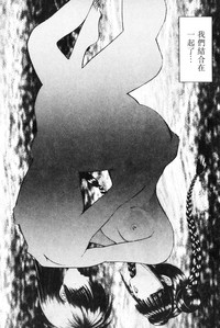 第195頁圖