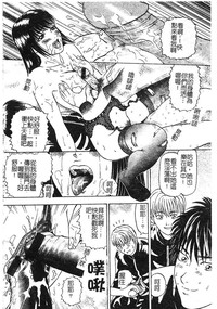 第151頁圖