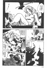 第211頁圖