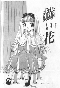 第143頁圖