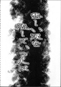 第19页图