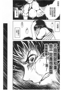 第211頁圖