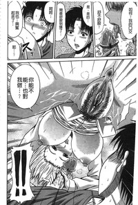 第155頁圖