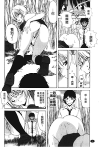 第11頁圖