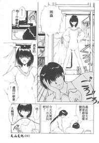 第43頁圖