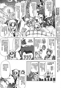 第219頁圖