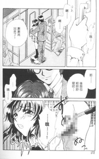 第175頁圖