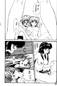 第31頁圖