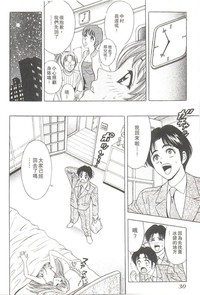 第31頁圖