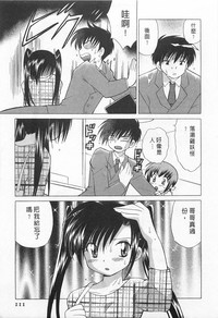 第111頁圖