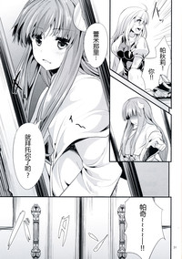 第31頁圖