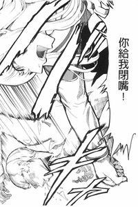 第223頁圖