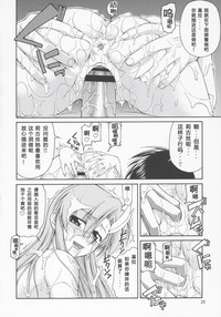 第19頁圖