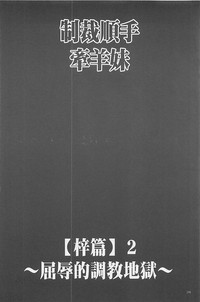 第171頁圖