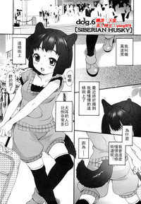 第43页图