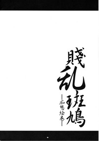 第3页图